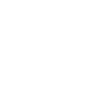 Icon representing your official trademark registration certificate